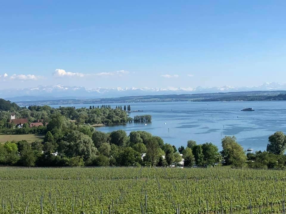 Ferienwohnung "Maisonette Unter Der Burg" Meersburg Extérieur photo